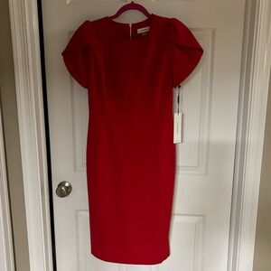 NWT Calvin Klein Tulip Sleeve Dress size 8